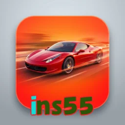 ins55